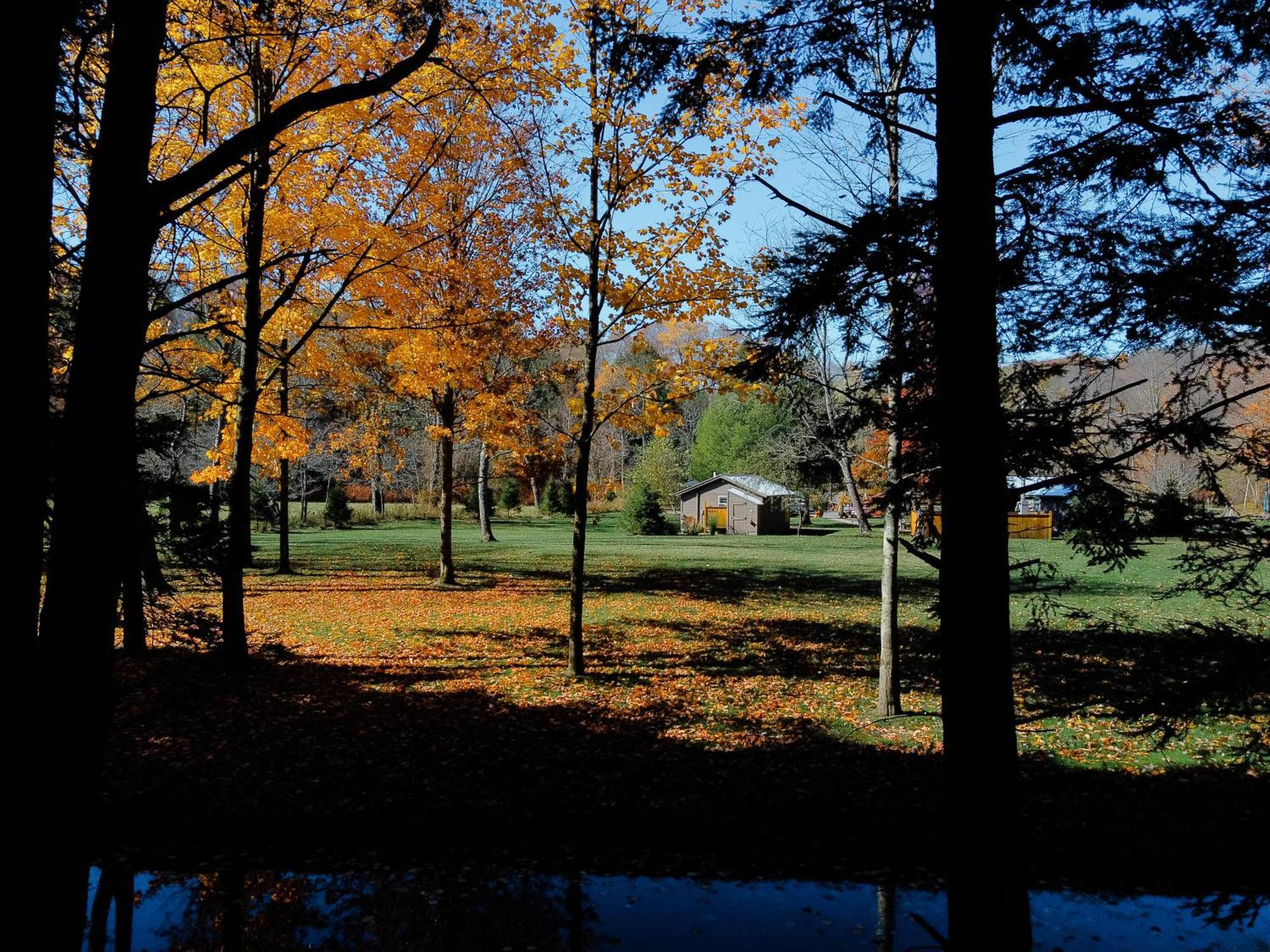Antrim Streamside Hotel Livingston Manor Luaran gambar